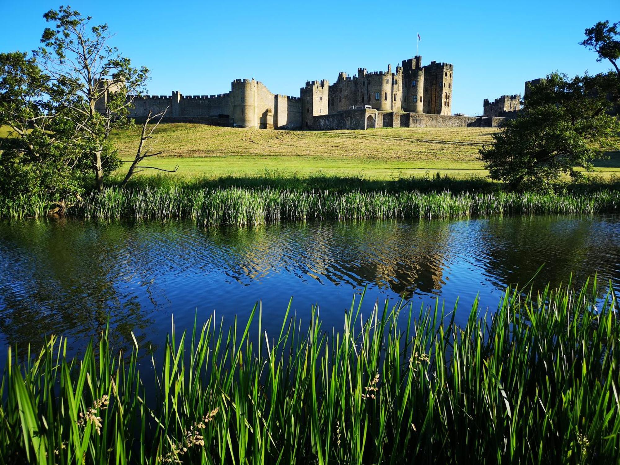 Alnwick Book Nook - Dog Friendly Lejlighed Eksteriør billede